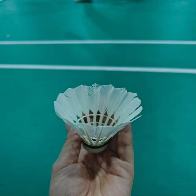 深度解析网球红土赛程观察的赛程视角与趋势